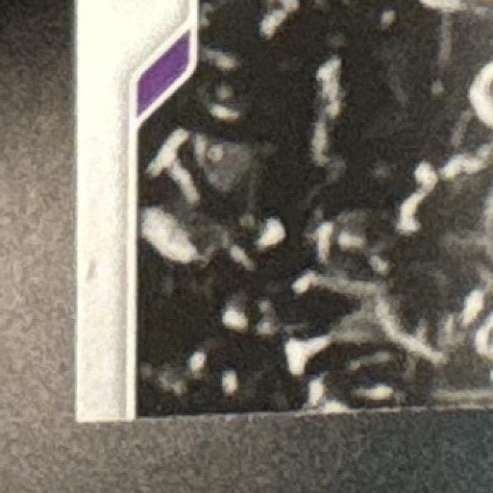 2024-25 Panini Prizm LeBron James Dominance #14 Los Angeles Lakers