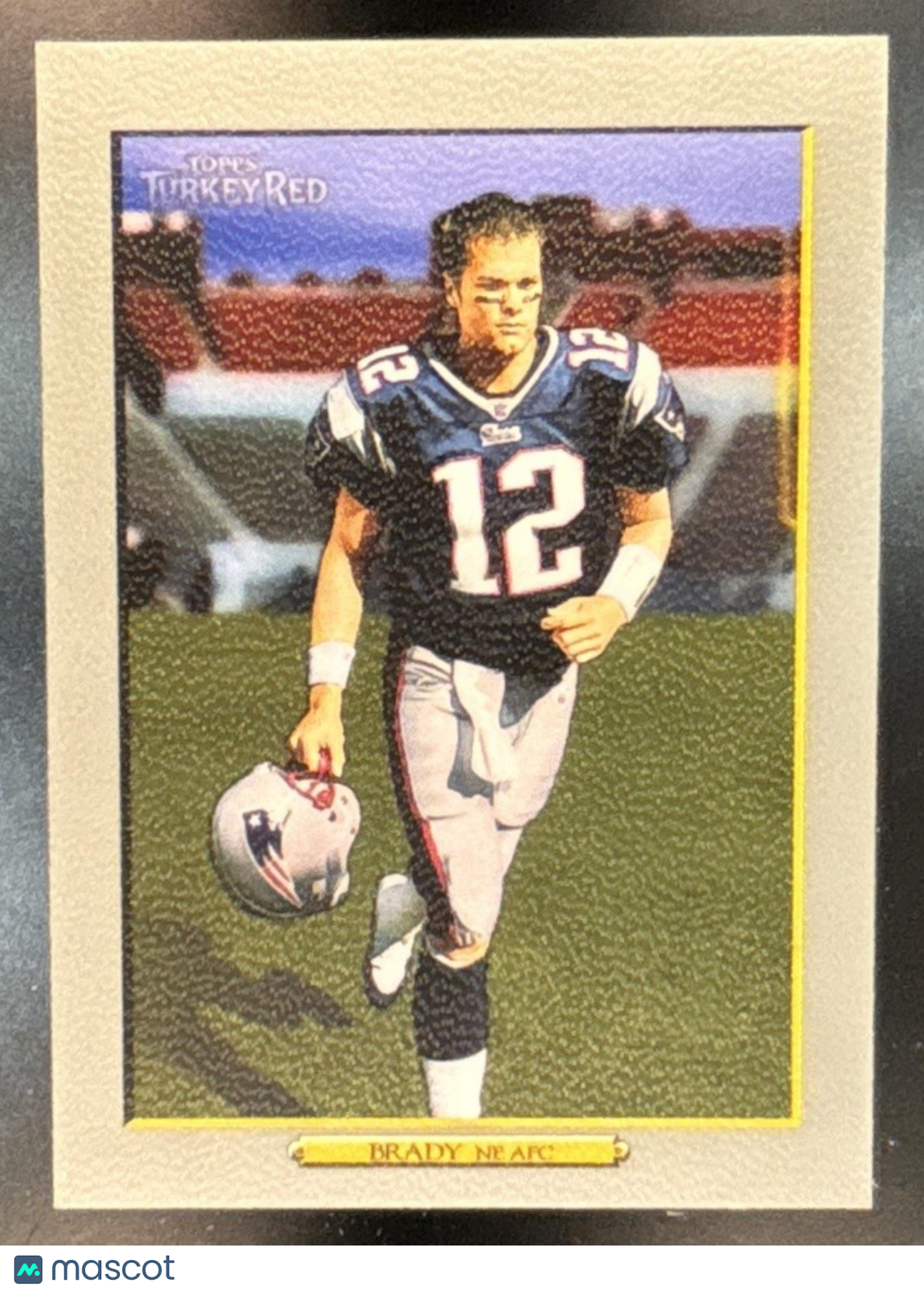 2006 Topps Turkey Red Tom Brady #280 New England Patriots