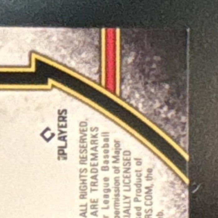 2024 Topps Triple Threads Ronald Acuna Jr. Single Jumbo Relic /48 Braves