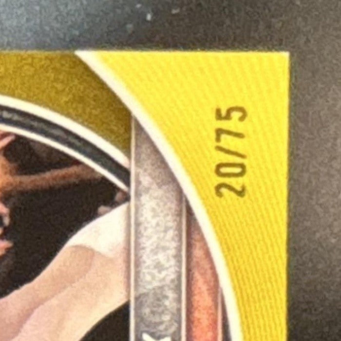 2025-26 Bowman Gradey Dick Yellow Border /75 #70 Toronto Raptors