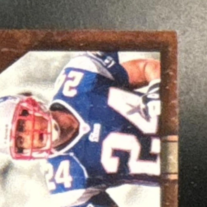 2004 Playoff Hogg Heaven Tom Brady Ty Law Pig Pals /1050 New England Patriots