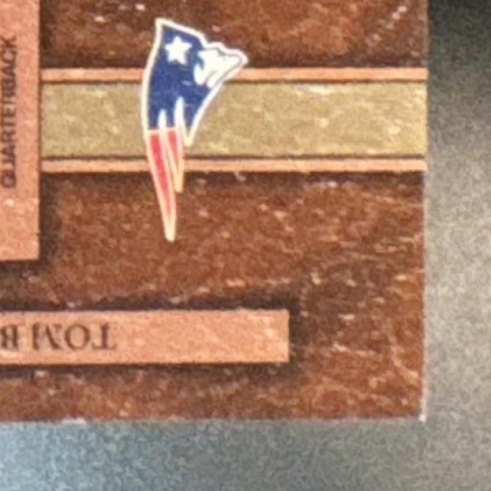 2004 Playoff Hogg Heaven Tom Brady Ty Law Pig Pals /1050 New England Patriots