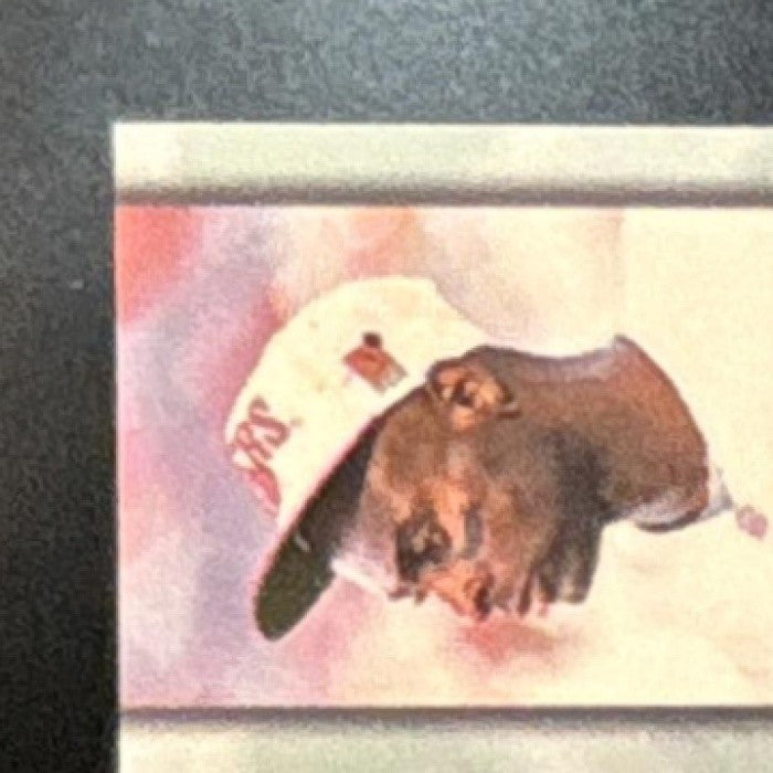 1995 Fleer Ultra Jerry Rice Magna Force #2 San Francisco 49ers
