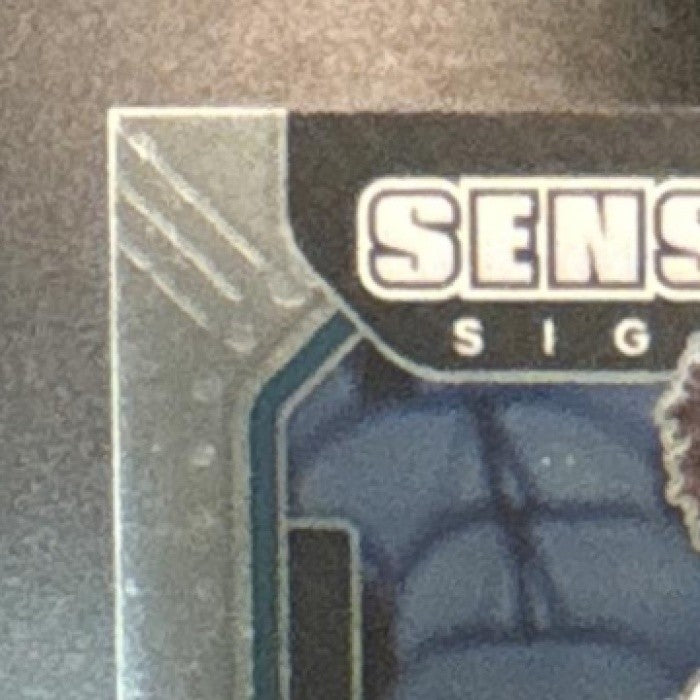 2021-22 Panini Prizm PJ Washington Jr. Sensational Signatures Auto Hornets