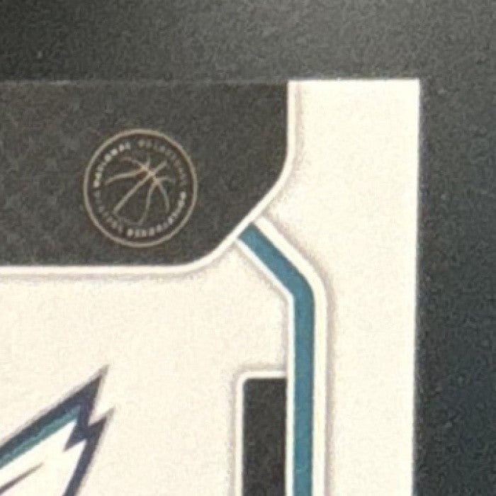 2021-22 Panini Prizm PJ Washington Jr. Sensational Signatures Auto Hornets