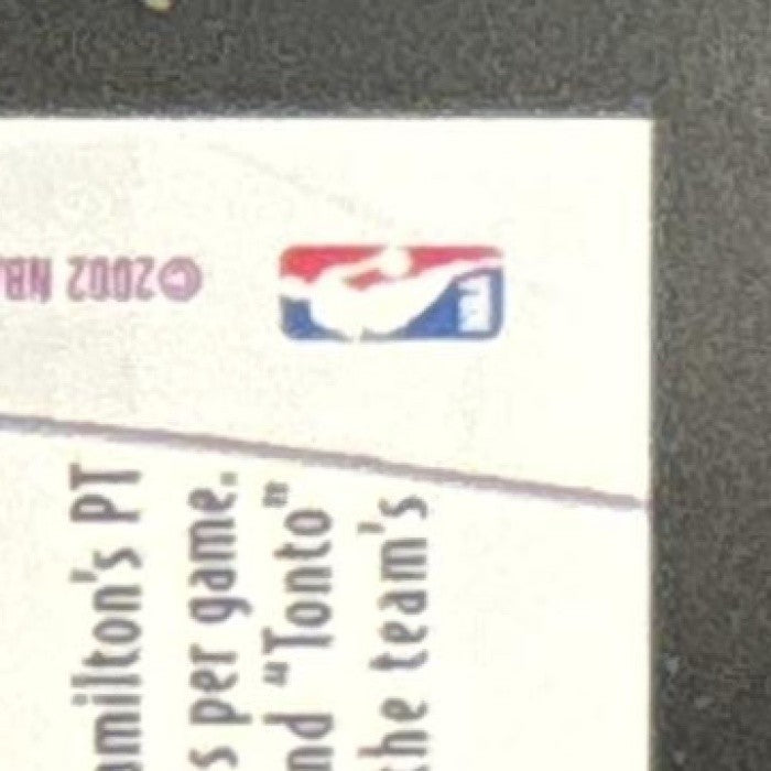 2002-03 Topps Michael Jordan Richard Hamilton Top Tandems Wizards