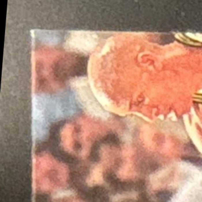 2001-02 Topps Xpectations Michael Jordan #151 Washington Wizards