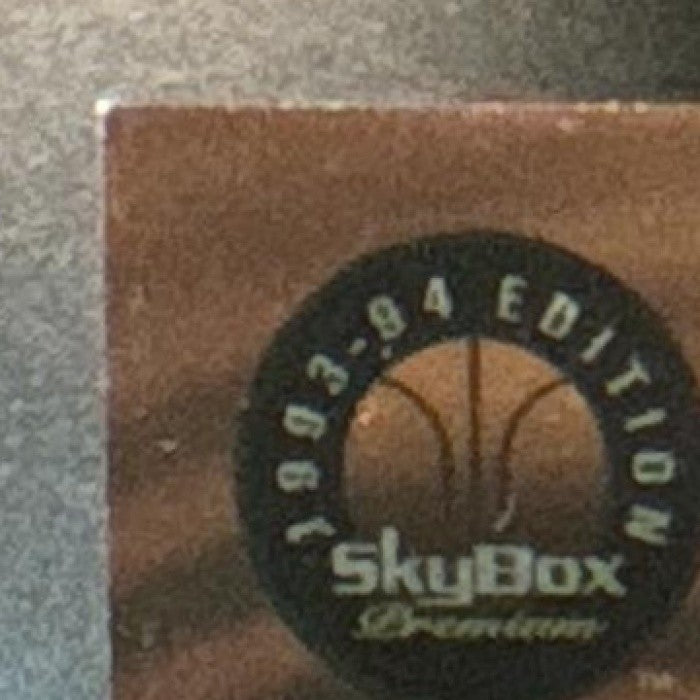 1993-94 Skybox Premium Patrick Ewing John Starks Thunder and Lightning Knicks