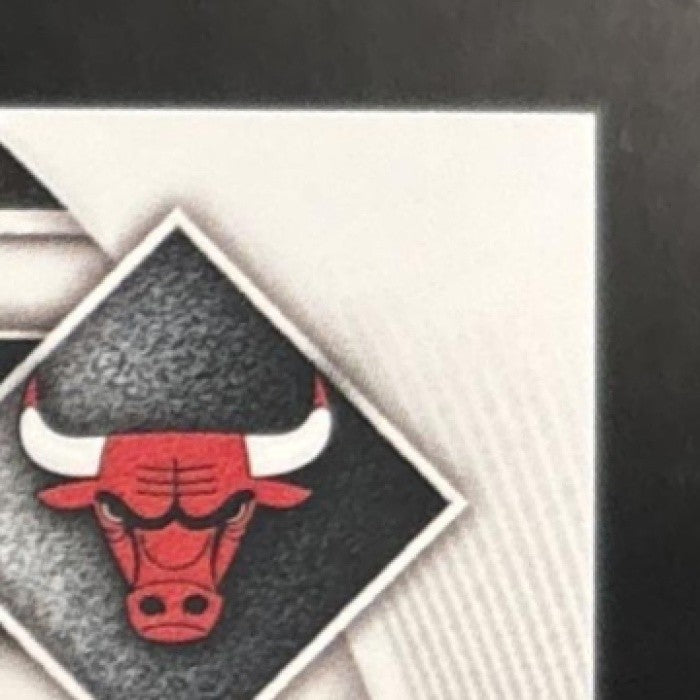2025-26 Bowman Matas Buzelis Chrome Reptilian Red 5/5 #BCV-73 Chicago Bulls