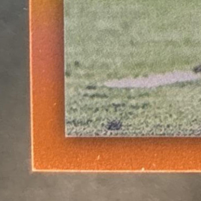 2019 Panini Chronicles Kyler Murray Luminance Update Orange /25 #201 RC Cardinal