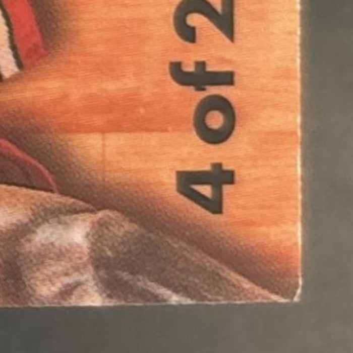 1995-96 Fleer Michael Jordan Flair Hardwood Leader Chicago Bulls