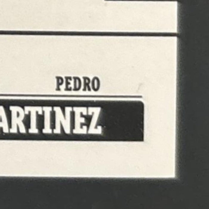 2005 Playoff Absolute Memorabilia Pedro Martinez Tools of the Trade Black /100