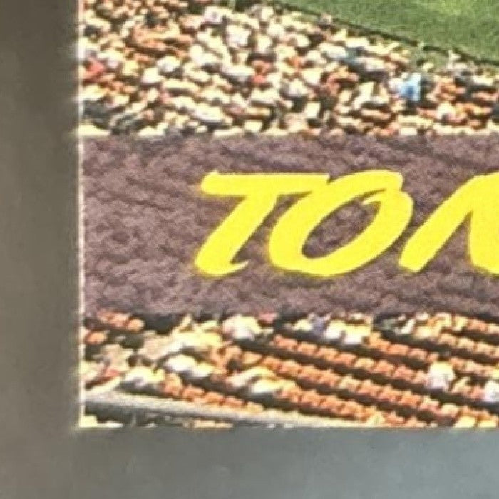 1996 Pinnacle Summit Tony Gwynn Ballparks /8000 #18 San Diego Padres
