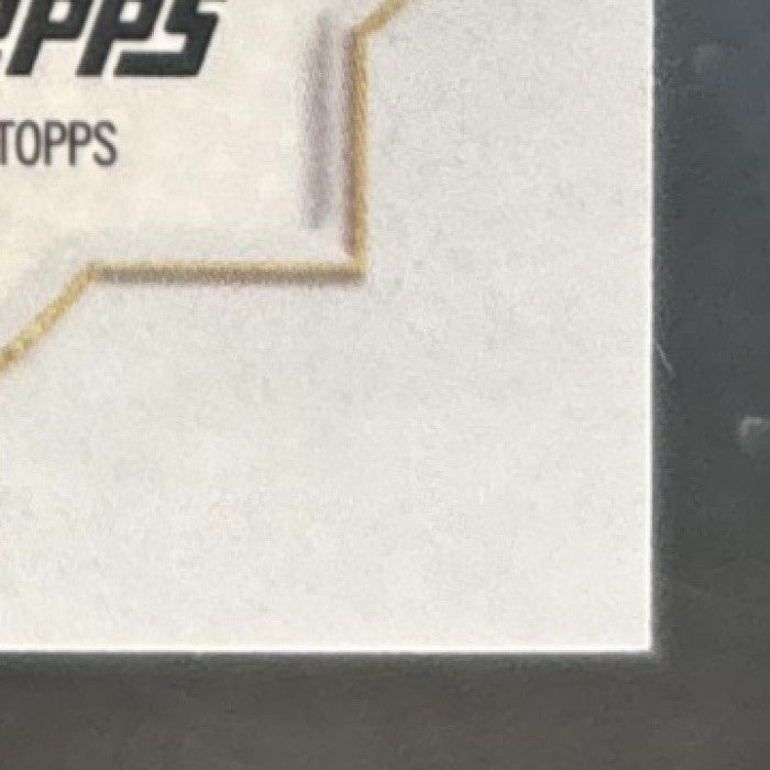 2024 Topps Chrome Disney Dumbo Black and White Speckle /101 #14