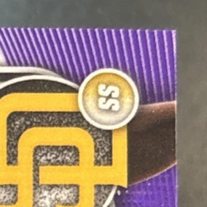 2025 Bowman Chrome Deivid Coronil Purple Shimmer /250 #BCP-173 1st Prospect