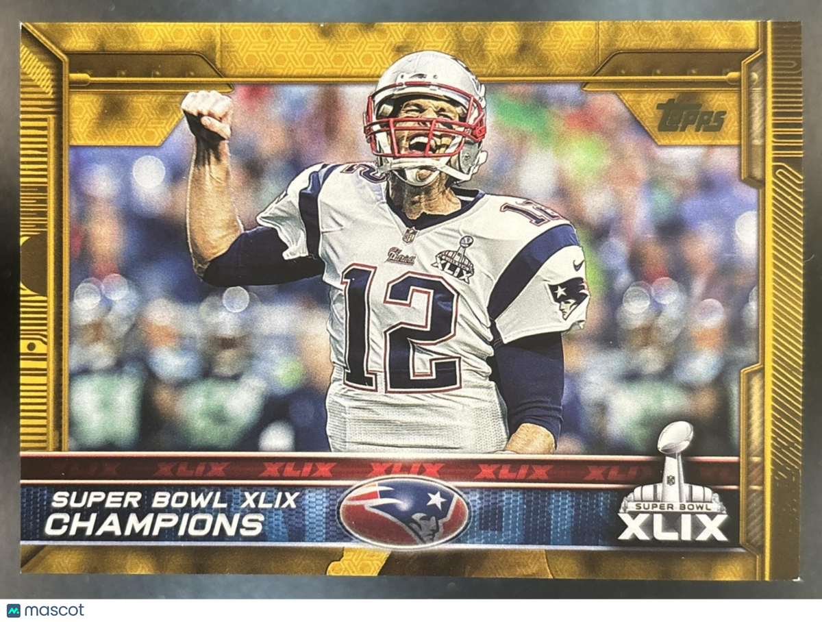 2015 Topps New England Patriots Gold /2015 #302