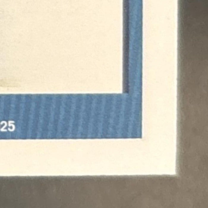 2025 Panini Donruss WNBA Paige Bueckers Rated Rookie #86 RC Dallas Wings