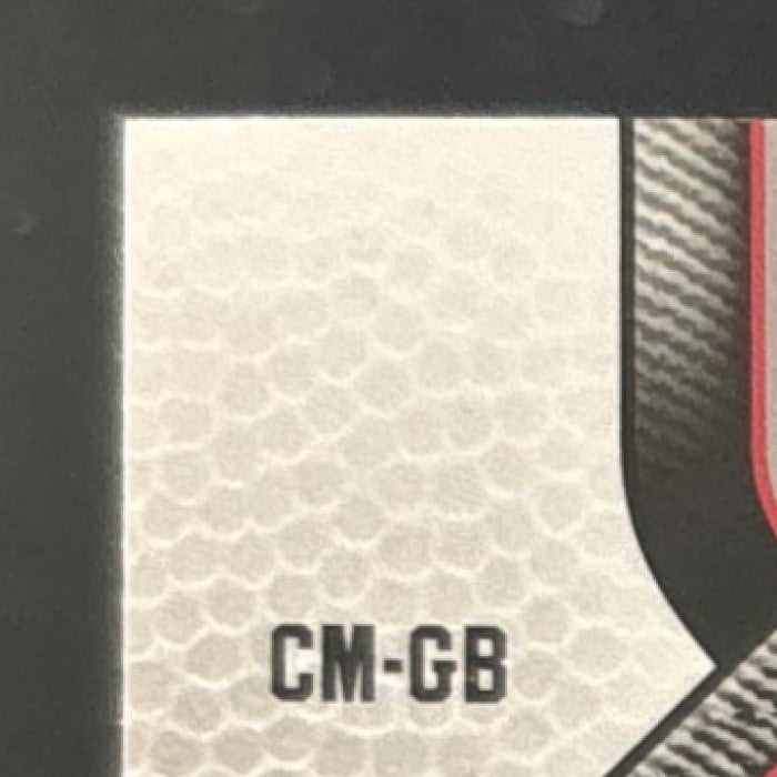 2009-10 SP Game Used Kevin Garnett Chris Bosh Combo Materials /499 #CM-GB MEM