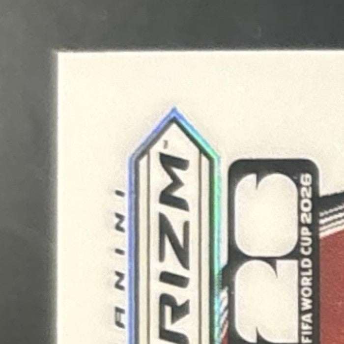 2026 Panini Prizm World Cup Tim Howard Manga #23 SSP United States