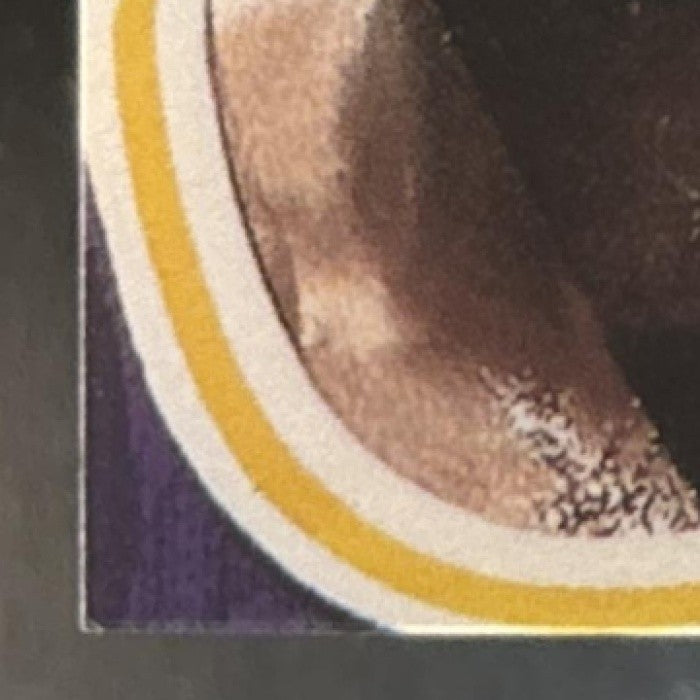 1998-99 Fleer Flair Showcase Glen Rice Row 1 /3000 #47 Los Angeles Lakers