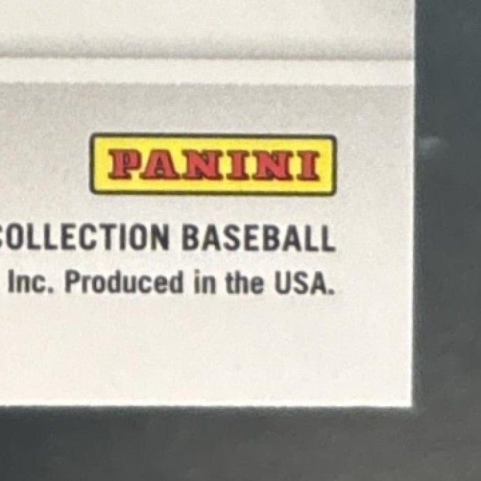 2023 Immaculate Collection Emmanuel Rodriguez Jumbo Jersey Number /38 MEM Twins