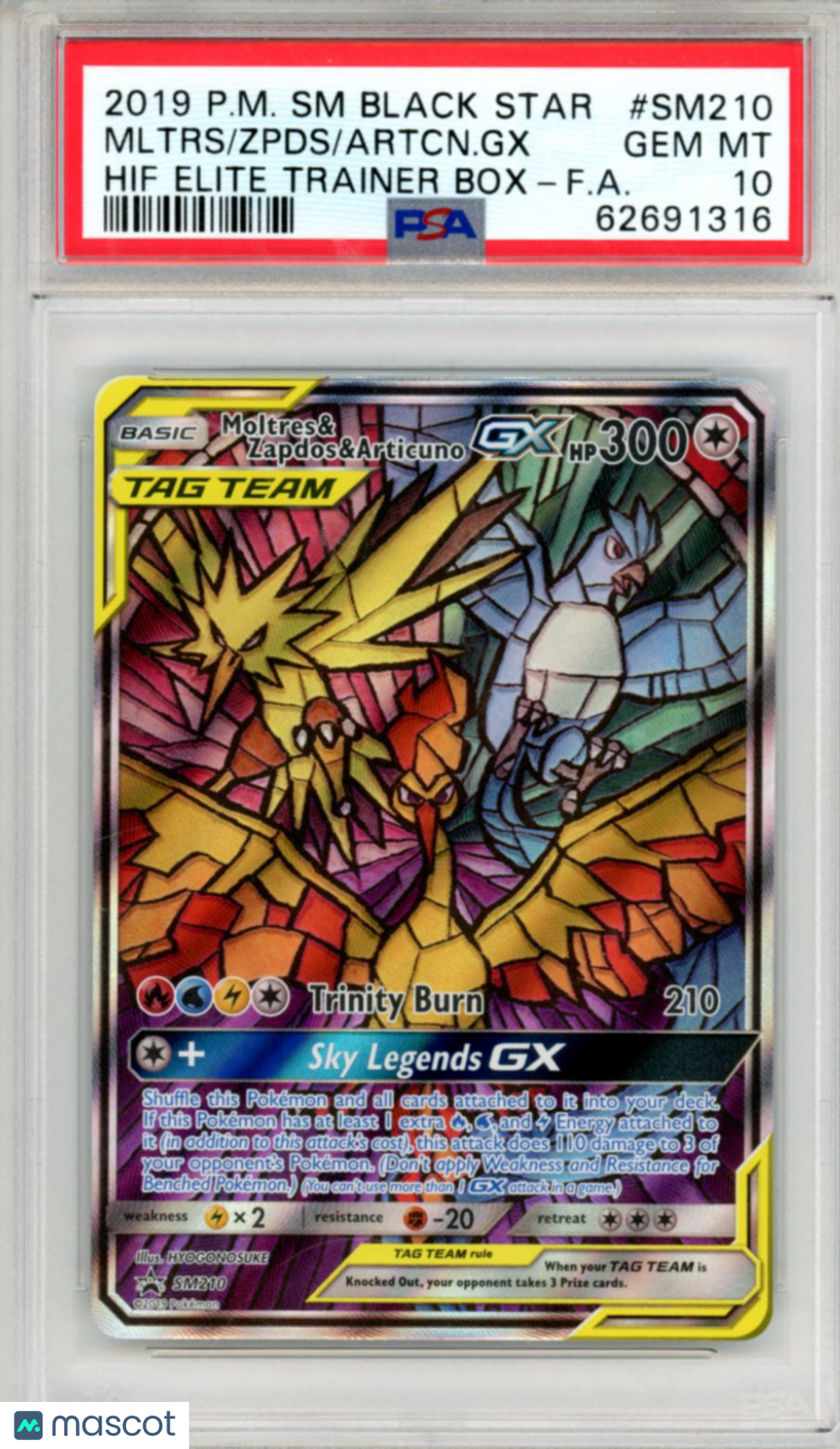 2019 Pokemon SM Black Star Promo Articuno Moltres Zapdos GX #SM210 ETB FA PSA 10
