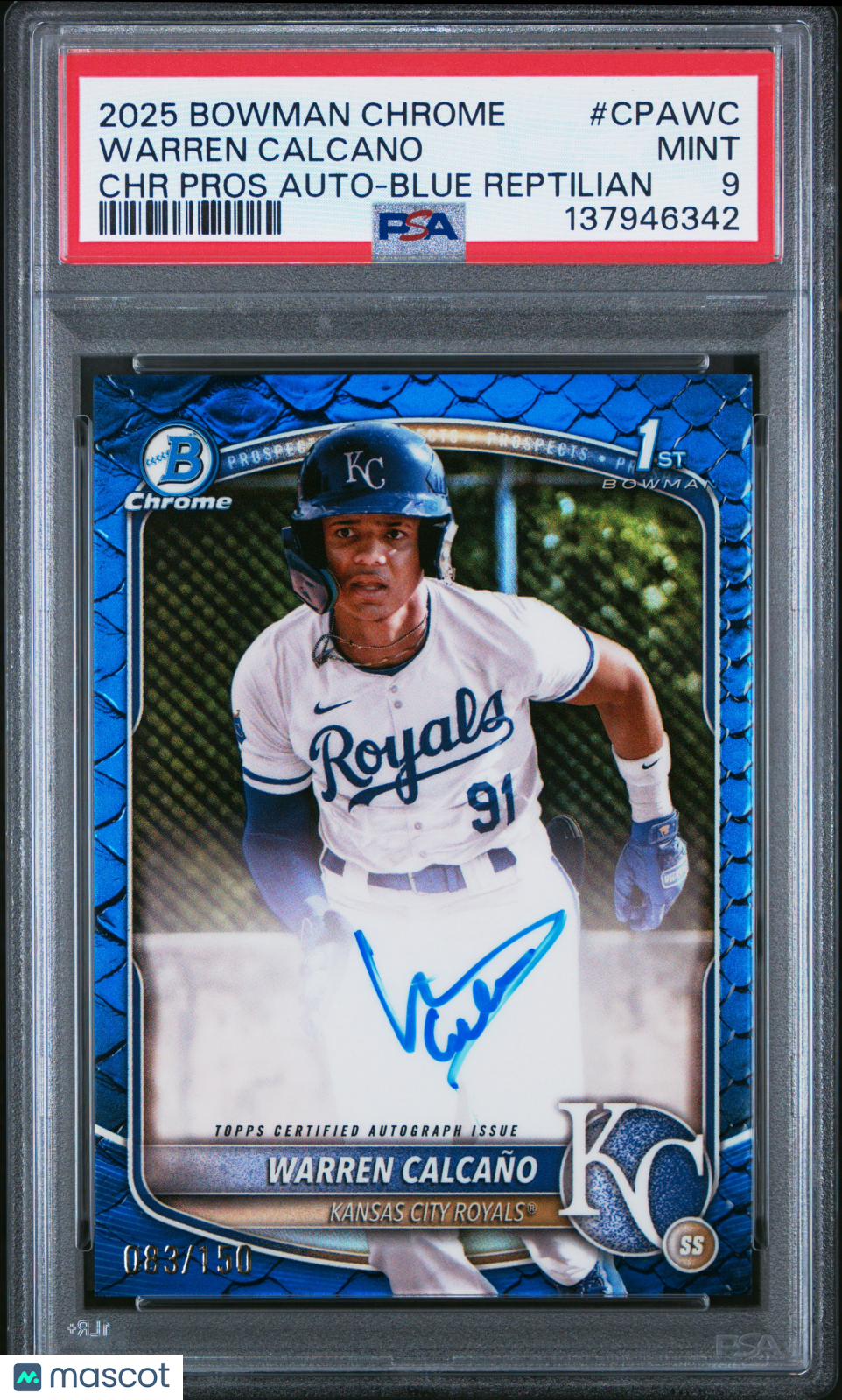 2025 Bowman Chrome Prospect Autographs Warren Calcano Blue Reptilian /150 PSA 9