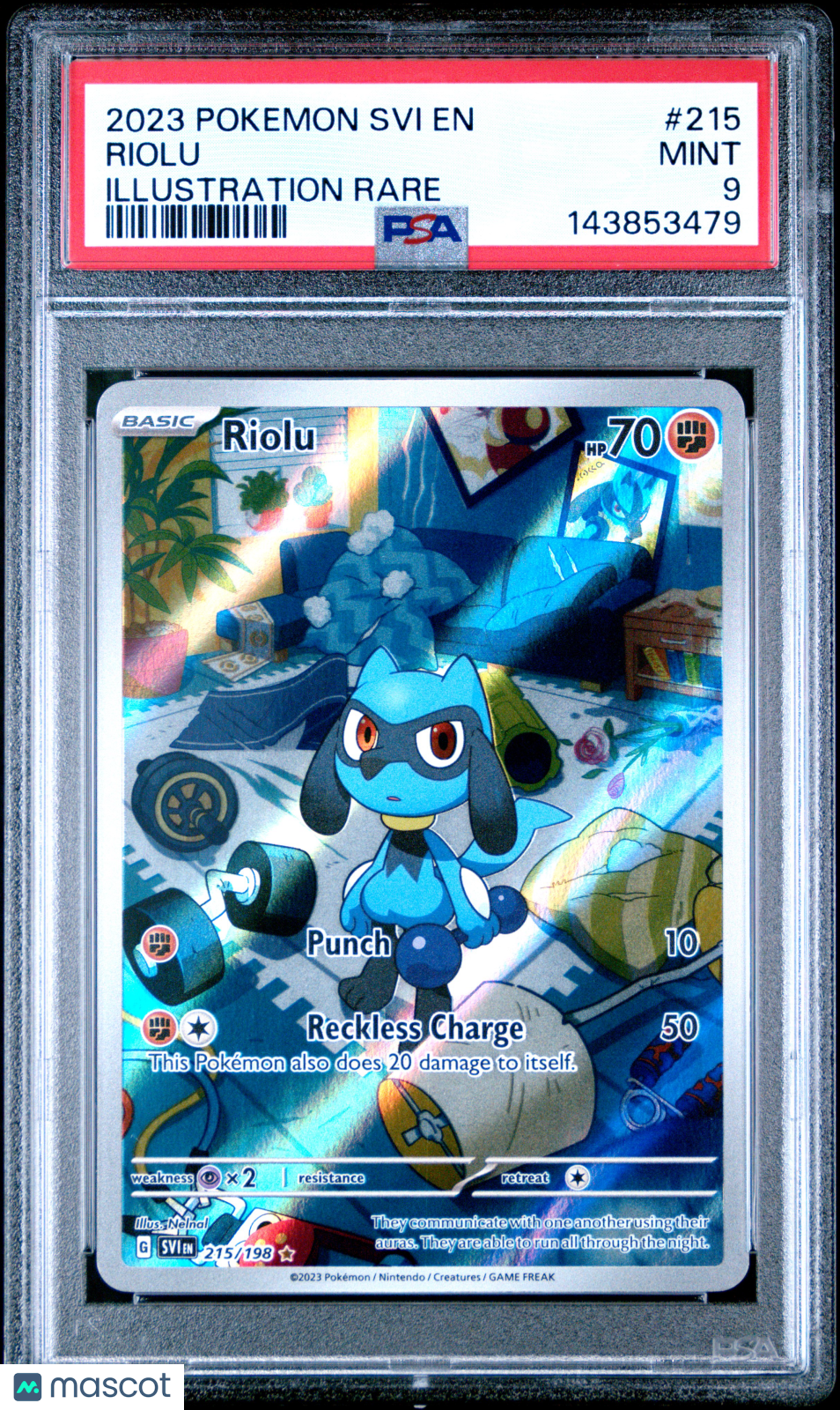 2023 Pokemon Svi EN-Scarlet & Violet Riolu #215 Illustration Rare PSA 9