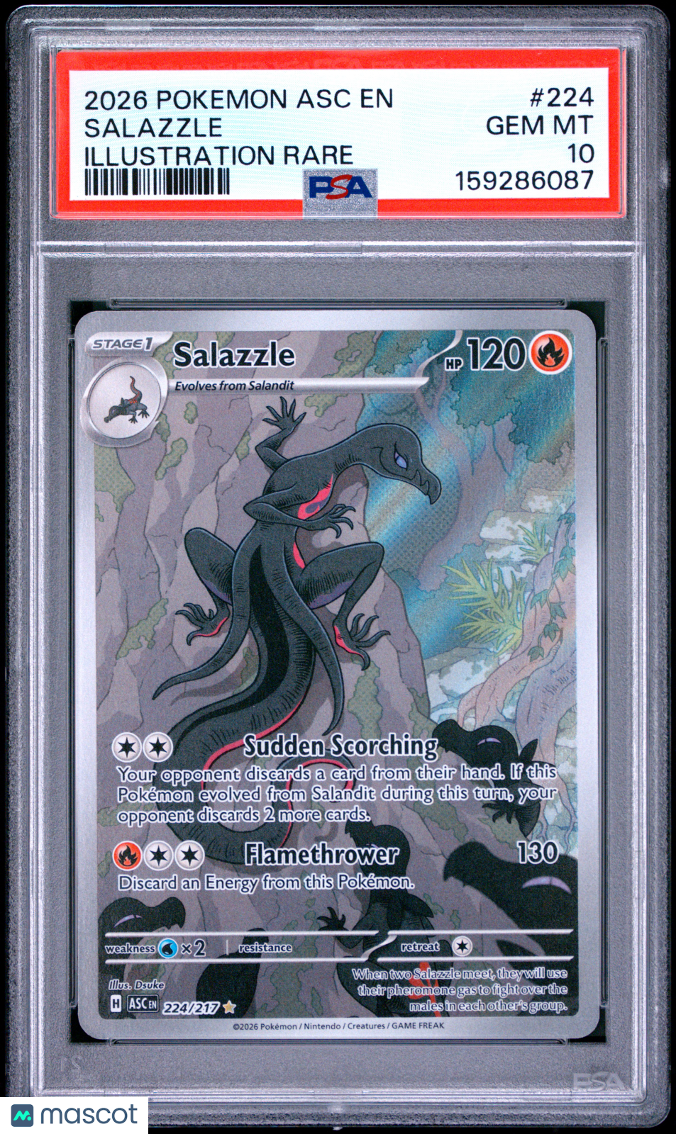 2026 Pokemon Asc EN-Ascended Heroes Salazzle #224 Illustration Rare PSA 10