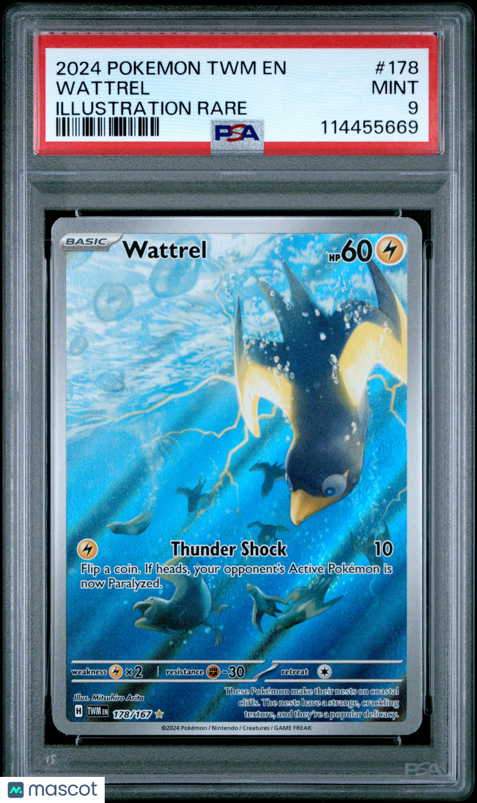 2024 Pokemon Twilight Masquerade Wattrel #178 Illustration Rare PSA 9 MINT